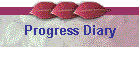 Progress Diary